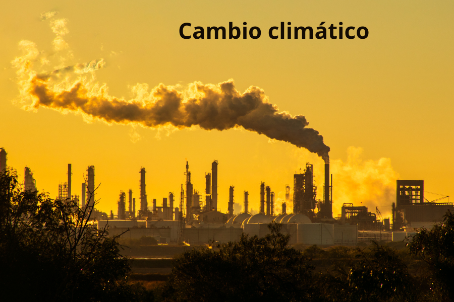 Cambio climático